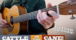 Crosspick Like Tony Rice! - “Cattle in the Cane” | Intermediate BLUEGRASS Guitar Lesson With TAB