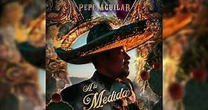 11. Pepe Aguilar - A La Medida (Audio Oficial)