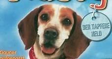 Rusty: Una historia de perros (1998) Online - Película Completa en Español - FULLTV