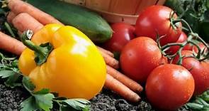 How to grow an organic vegetable garden
