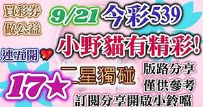 9/21 今彩539 小野貓有"精彩"539 二星獨碰版路分享 💖⭐💖連五開⭐17⭐~甜甜再甜甜💖💖