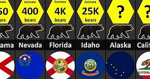 Black Bear Population in USA 🇺🇸 (state wise)