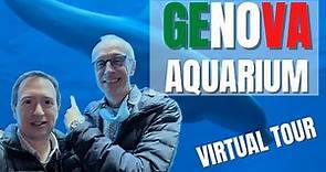 Genova aquarium - The biggest aquarium in the Mediterranean