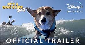 It’s A Dog’s Life | Official Trailer | Disney+