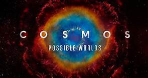 Cosmos: Possible Worlds (2020) | WatchDocumentaries.com
