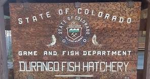 Checking out The Durango Fish Hatchery