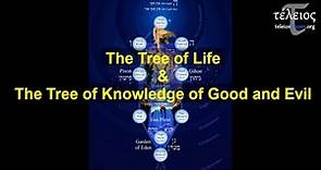 The Tree of Life & The Tree of Knowledge of Good and Evil