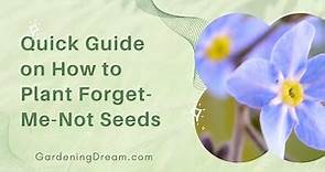 Quick Guide on How to Plant Forget-Me-Not Seeds