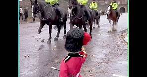 Frank gets a metropolitan police salute then a Merseyside police photo #guards #horse #london