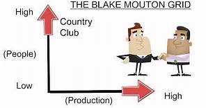 The Blake Mouton Grid