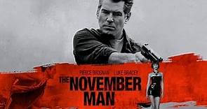 The November Man Full Movie Fact in Hindi / Review and Story Explained / Pierce Brosnan