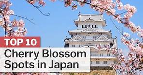 Top 10 Cherry Blossom Spots in Japan | japan-guide.com