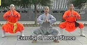 Shaolin Kung Fu basic moves