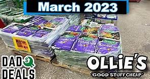 Top Things You SHOULD Be Buying at Ollie's Bargain Outlet in March 2023 | Dad Deals