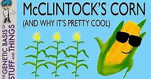 McClintock’s corn and why it’s pretty cool