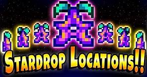 Where To Find EVERY Stardrop! - Stardew Valley
