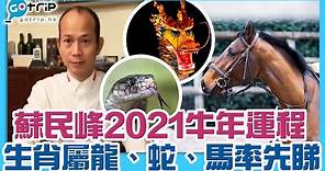蘇民峰2021年生肖運程｜龍、蛇、馬年運程篇｜2021年是屬龍的財運年？