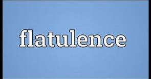Flatulence Meaning