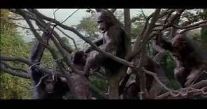 Greystoke: The Legend of Tarzan, Lord of the Apes (1984) Movie Trailer - Christopher Lambert