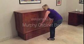 Night & Day Furniture Daisy Murphy Cabinet Buttercream, Queen