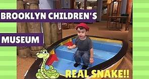 Brooklyn Children's Museum | Live Snake | Places To Go In NYCWith Kids