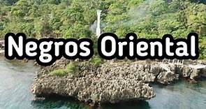 Top 10 Best Tourist Spots in Negros Oriental