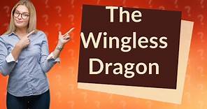 Is there a wingless dragon?