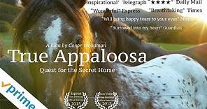 True Appaloosa | Trailer | Available now