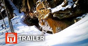 Frozen Planet II Trailer