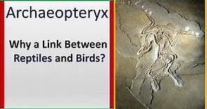 Archaeopteryx | Link between Reptiles and Birds? | Why?