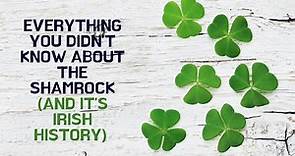Everything you didn't know about the Shamrock ☘️