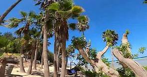 Playa de Sotavento de Jandía - Fuerteventura