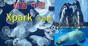 2023 -8 桃園市中壢區 Xpark水族館🐟為台灣首座新都會型的水生公園門票$550