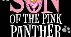 El hijo de la Pantera Rosa (1993) Online - Película Completa en Español - FULLTV