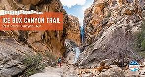 How to Hike Ice Box Canyon in Red Rock Canyon NCA | Las Vegas