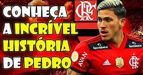 A Incrível História De Pedro Do Flamengo