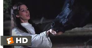The Black Stallion Returns (1983) - Helping Tabari Scene (6/12) | Movieclips