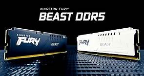 速度高達 6000MT/s 的 DDR5 RGB 記憶體 - Kingston FURY Beast DDR5