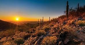 Why Scottsdale Makes the Perfect Travel Destination | Absolutely Scottsdale