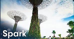 Singapore's Incredible 160-Foot Supertree Statues | Megastructures: Gardens By The Bay | Spark