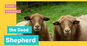 The Good Shepherd for kids