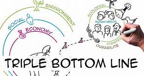 Triple bottom line (3 pillars): sustainability in business