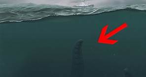 14 Unbelievable Facts about Real GIANT Squid!