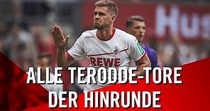 Alle TERODDE-TORE der Hinrunde 2018/19 | 1. FC Köln | Simon Terodde