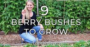 9 Types of Berry Bushes to grow in your Garden