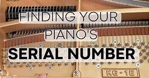 Where to Find a Piano Serial Number? In Just a few steps!