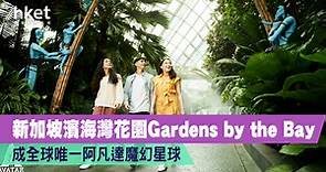 【新加坡旅遊】新加坡濱海灣花園Gardens by the Bay　成全球唯一阿凡達魔幻星球 - 香港經濟日報 - 理財 - 精明消費
