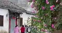 Huizhou: where ancient architecture meets blooming roses and tranquil streams. | Go Great Huangshan Mountain