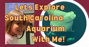 Let’s Explore South Carolina Aquarium