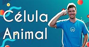 Célula Animal - Brasil Escola